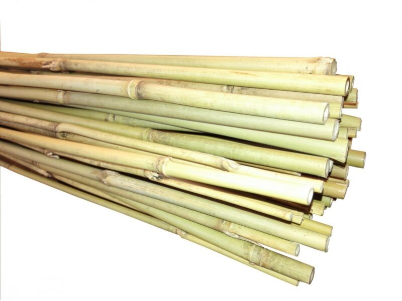 Bambus Tyczka bambusowa 120 cm (12-14 mm) /25/100
