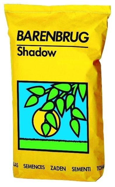 Trawa Barenbrug Reprezentacyjna na Cień i Słońce Shadow Sun 45kg