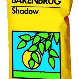 Trawa Barenbrug Reprezentacyjna na Cień i Słońce Shadow Sun 75kg